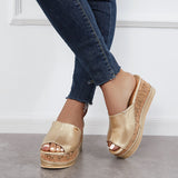 Myquees Comfortable Cork Footbed Slip-on Sandals Platform Wedge Slippers