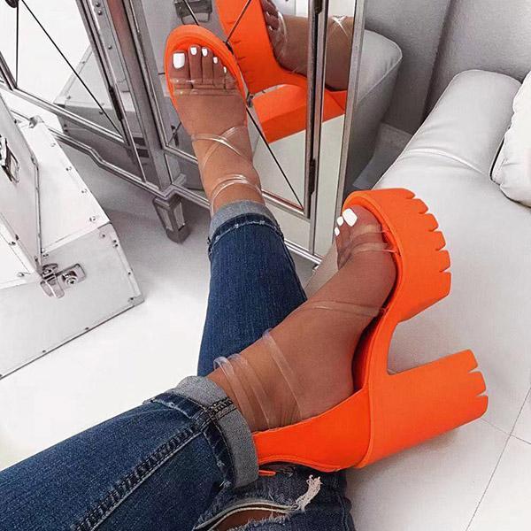 Myquees Chunky Heel Zipper Open Toe Strappy See-Through Sandals